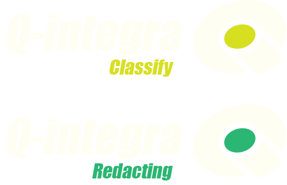 Logo Q-Integra Anonym